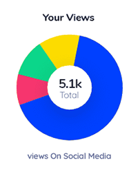 Website Views Infographic